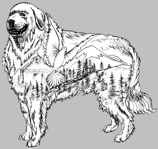 placeholder dog image
