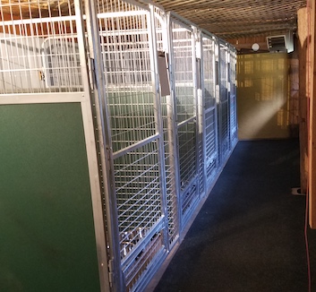 indoor kennels for dogs