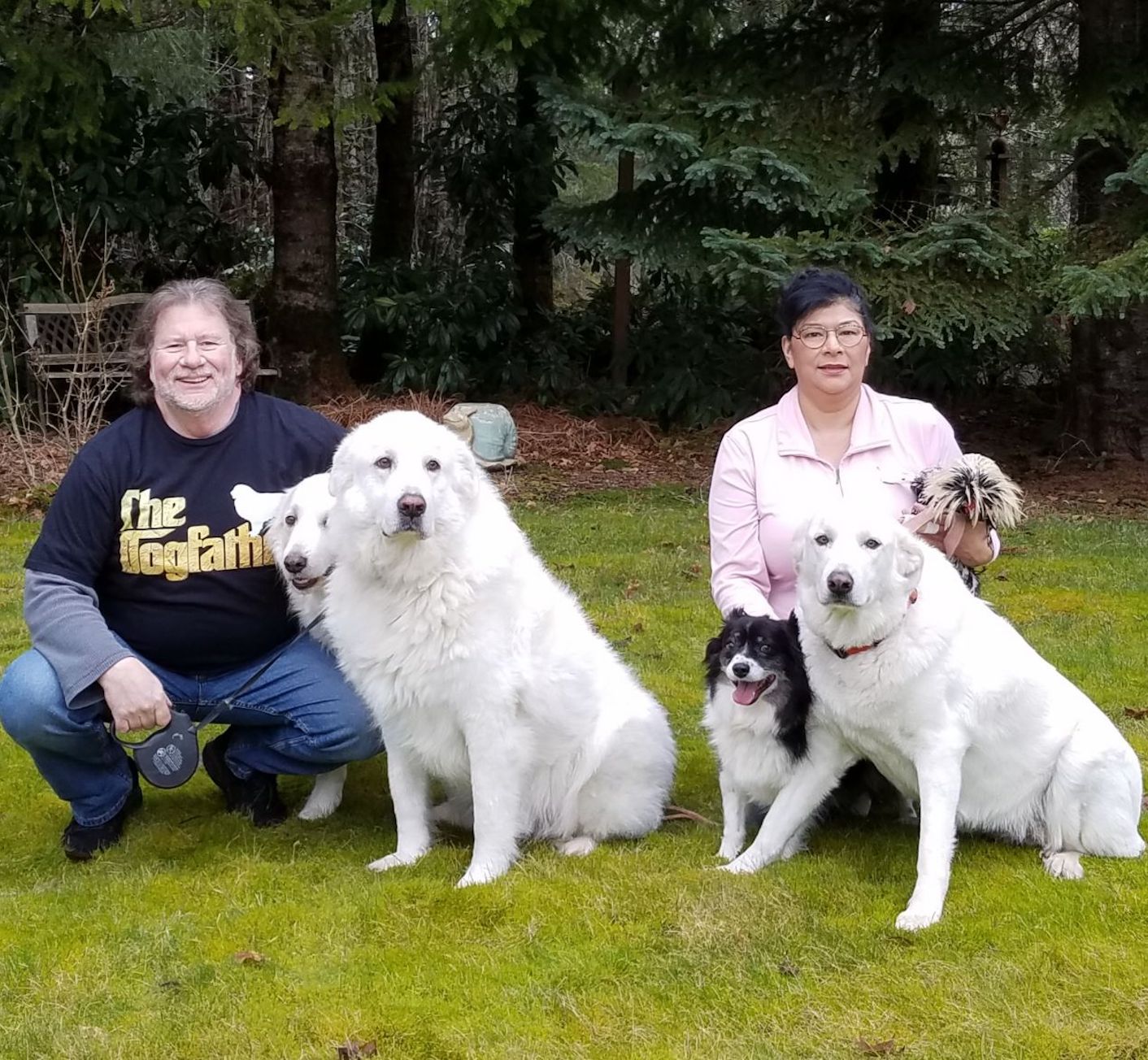 family sitting with dogs